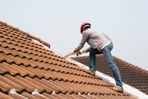 Best Roof Leak Repair  in Chinle, AZ