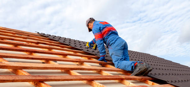 Best Roof Maintenance and Cleaning  in Chinle, AZ