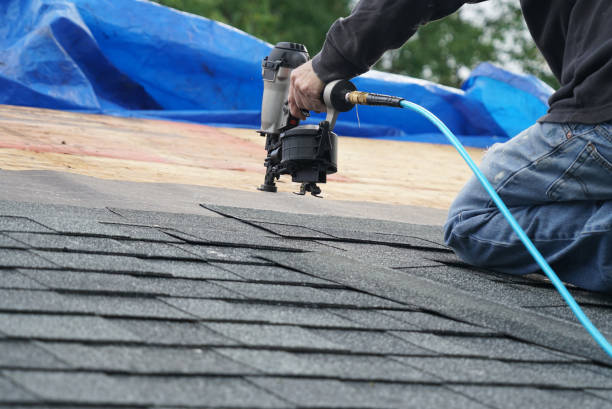 Best Metal Roofing Installation  in Chinle, AZ